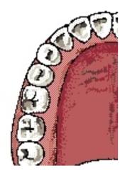 dents.pdf