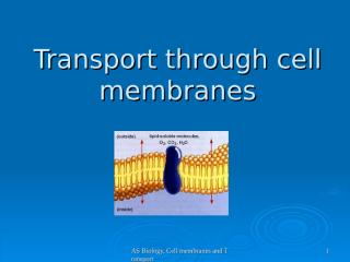 cell membrane transport.ppt