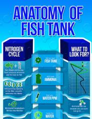 Anatomy of Fish Tank.pdf