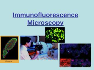 Immunofluorescence (1).ppt